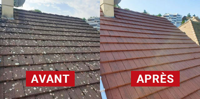 Nettoyage toiture - RICORDEL Couverture 91 artisan couvreur en Île-de-France : L’Essonne (91), Le Val-de-Marne (94), Les Hauts-de-Seine (92), les Yvelines (78), Le Val-d’Oise (95), Seine-Saint-Denis (93), la Seine-et-Marne (77) : nettoyage, démoussage, traitement anti-mousse toiture. Application d’un revêtement peinture hydrofuge coloré sur toit. Intervention en Île-de-France